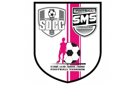 GF SDCC SMS 3